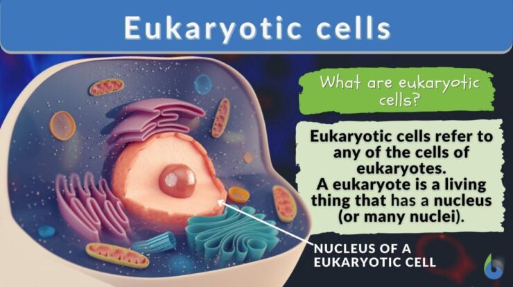 Cell language meaning